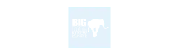 Big_Data_Minds-logo