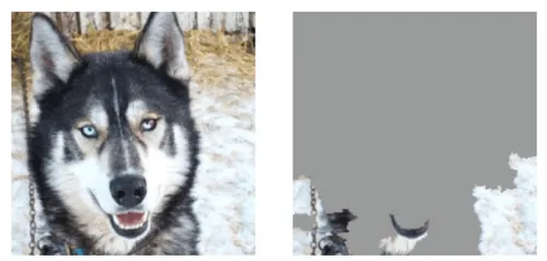 image_of_a_wolf_and_one_incomplete